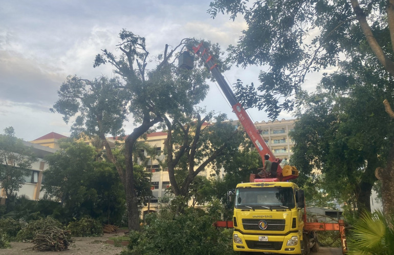 VTV College: Chủ động triển khai các biện pháp ứng phó với bão số 9