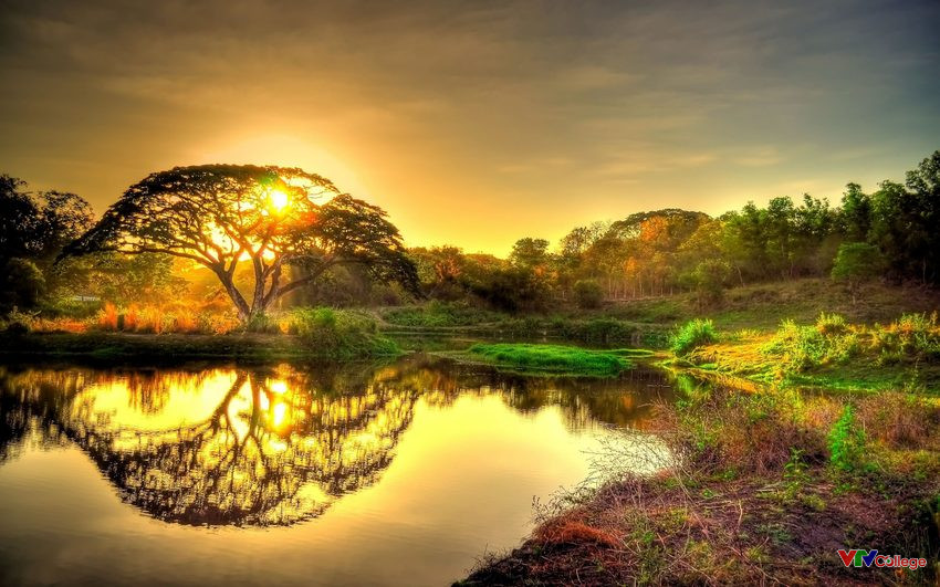 100+ Hình ảnh phong cảnh thiên nhiên đẹp nhất thế giới - Trung Tâm Đào Tạo  Việt Á